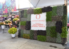 Dümmen Orange welcomes their visitors to their trial location.